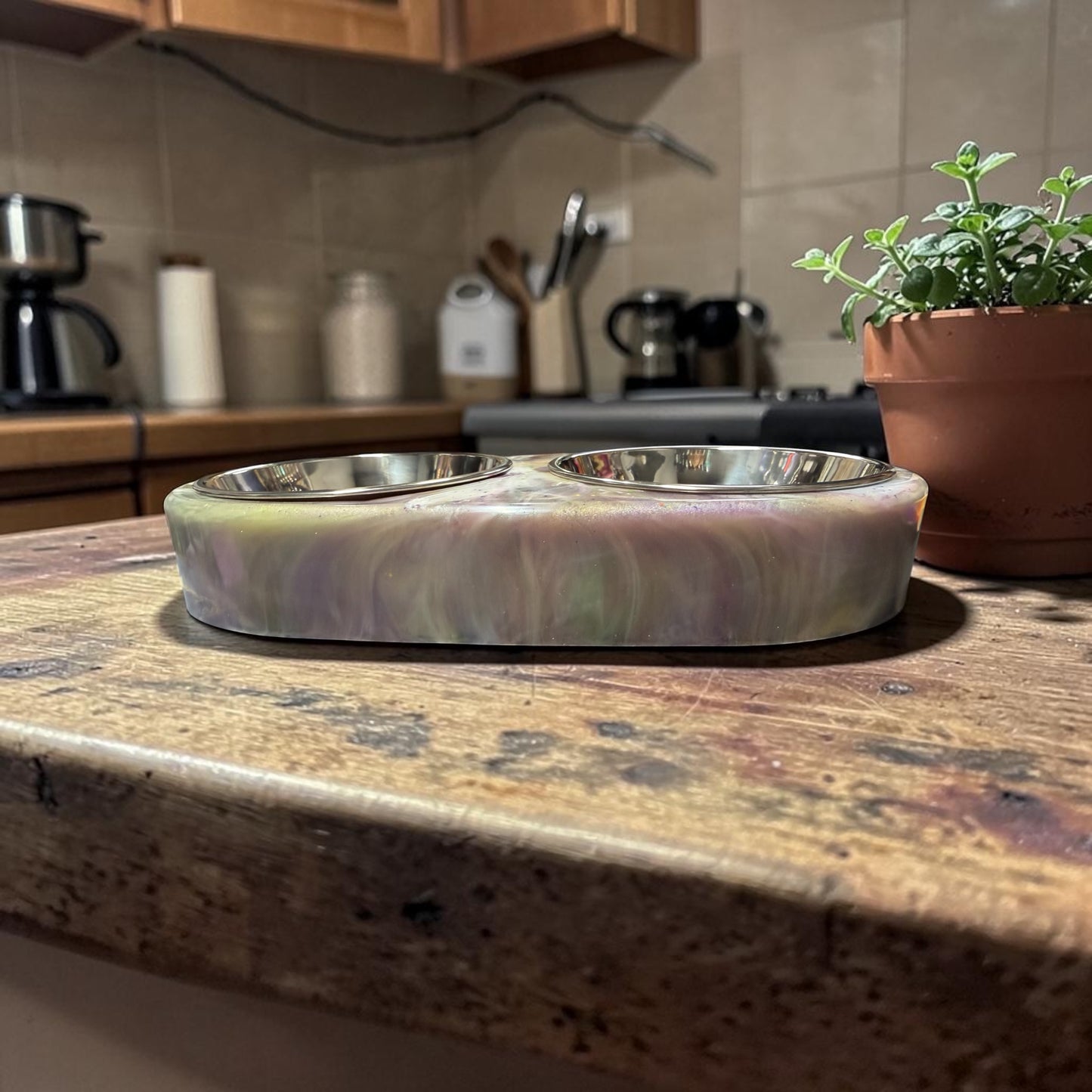 Cat Bowl set